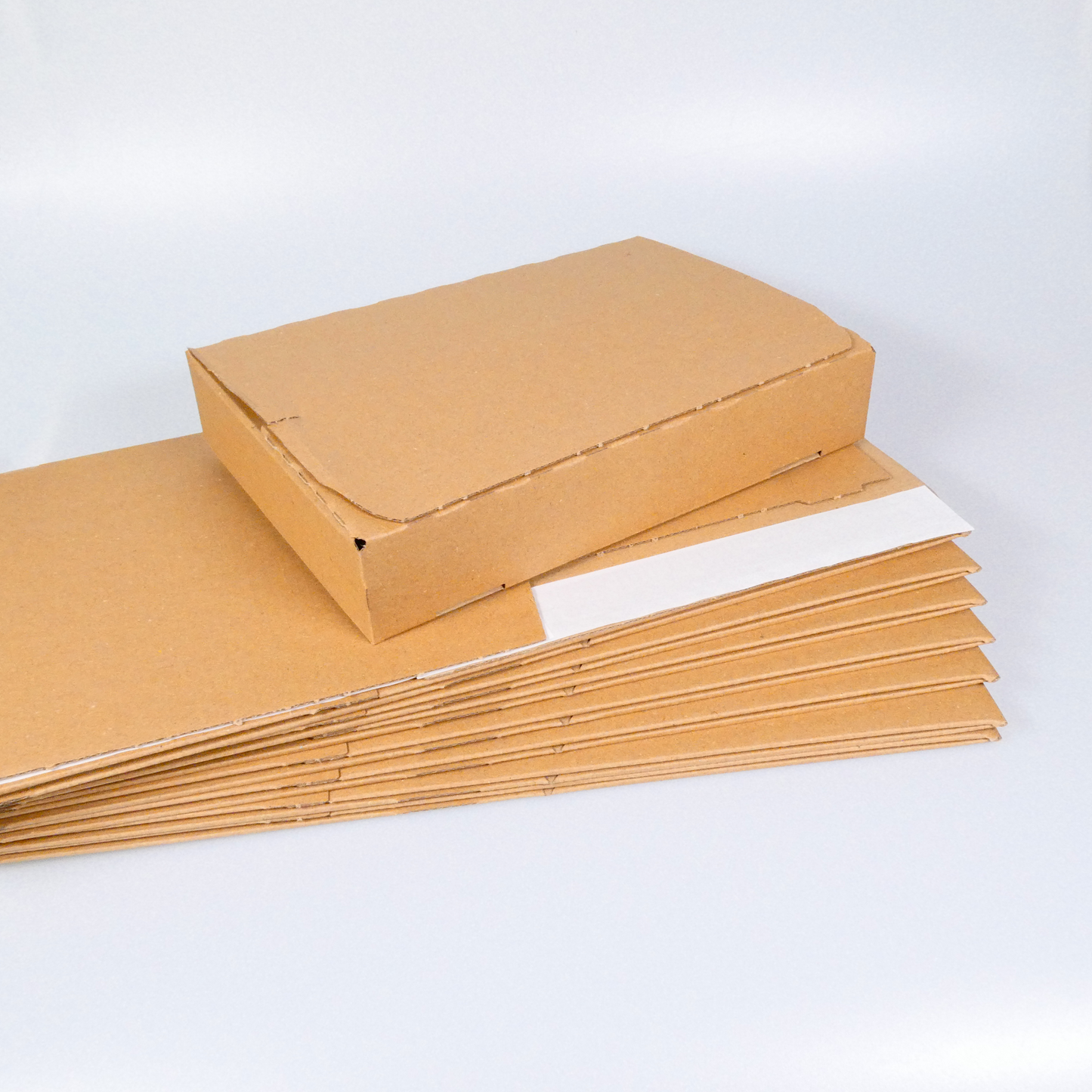 LetterPac – B5-Versandkarton (25 x 17,6 x 5 cm) – Brieftarif der Schweizerischen Post