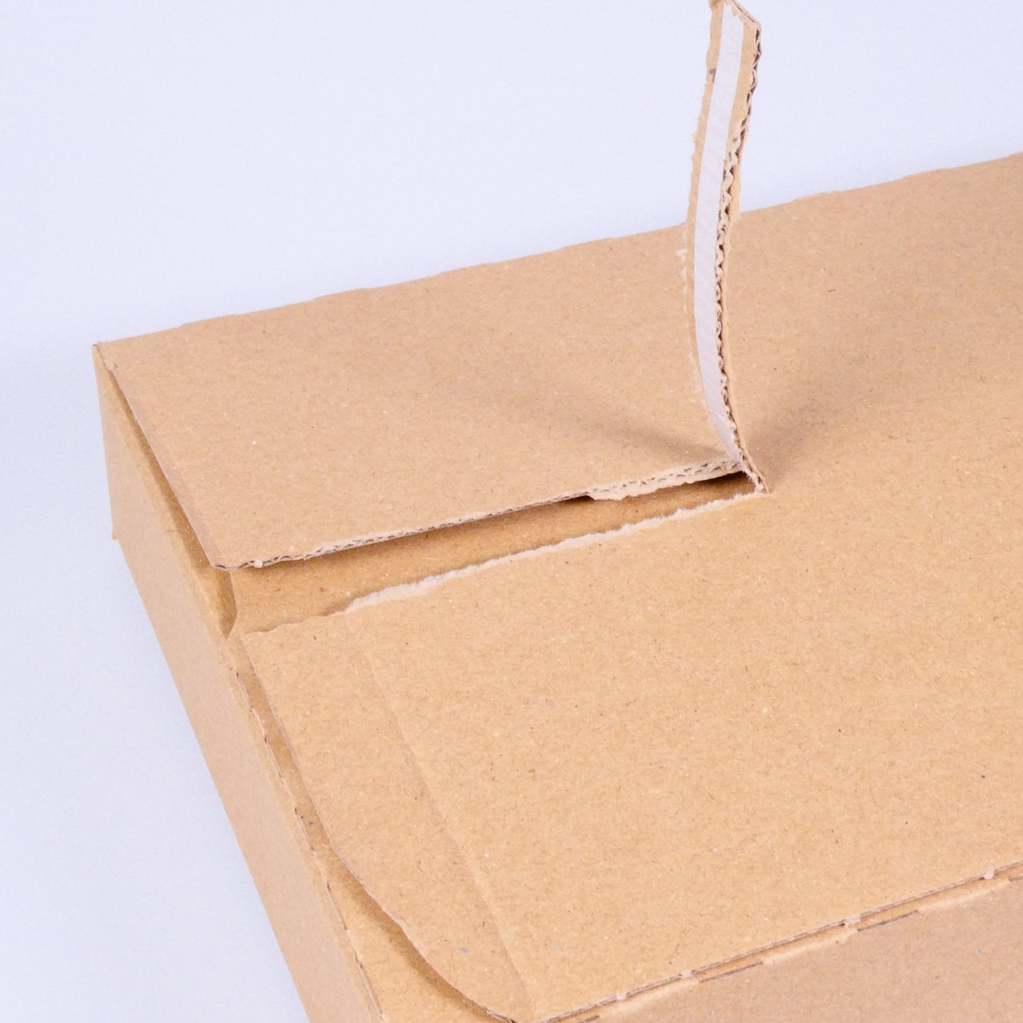 LetterPac – B5-Versandkarton (25 x 17,6 x 5 cm) – Brieftarif der Schweizerischen Post