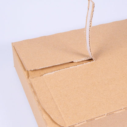 LetterPac – B5-Versandkarton (25 x 17,6 x 5 cm) – Brieftarif der Schweizerischen Post